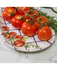 Travessa Aquarelle Xadrez Pomodoro e Basilico